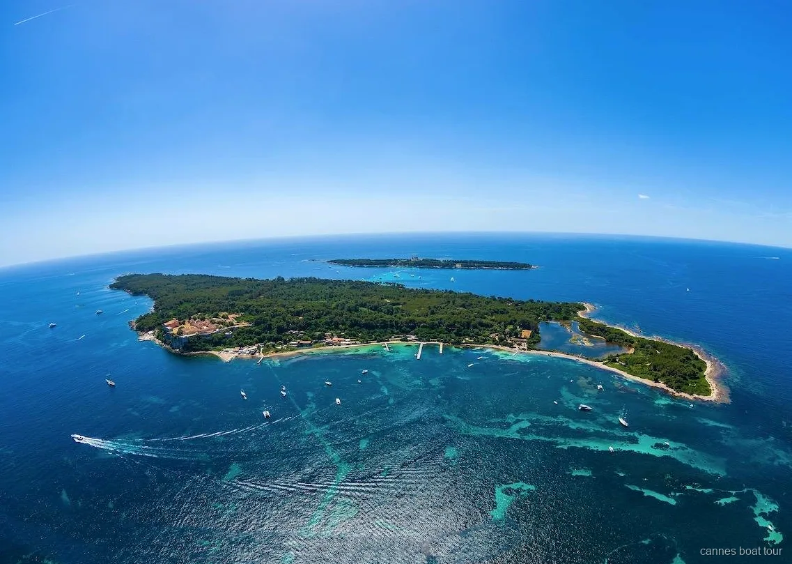 Sentier en forêt de pins sur l'Île Sainte-Marguerite près de Cannes